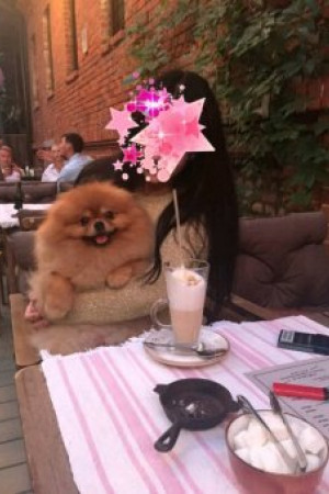 Индивидуалка роза 